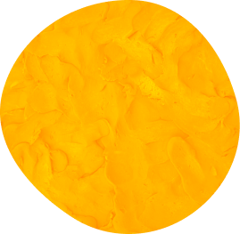 fig
