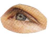 eye